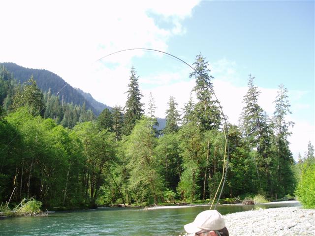 Little Fella's Rod (Small).jpg Little Fella's Rod (Small).jpg